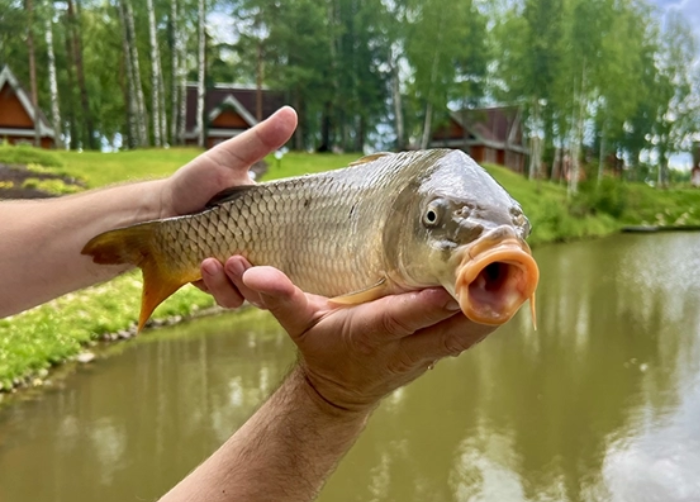Рыбалка